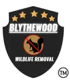 Affordable Pest Control & Wildlife Removal Company Near Me