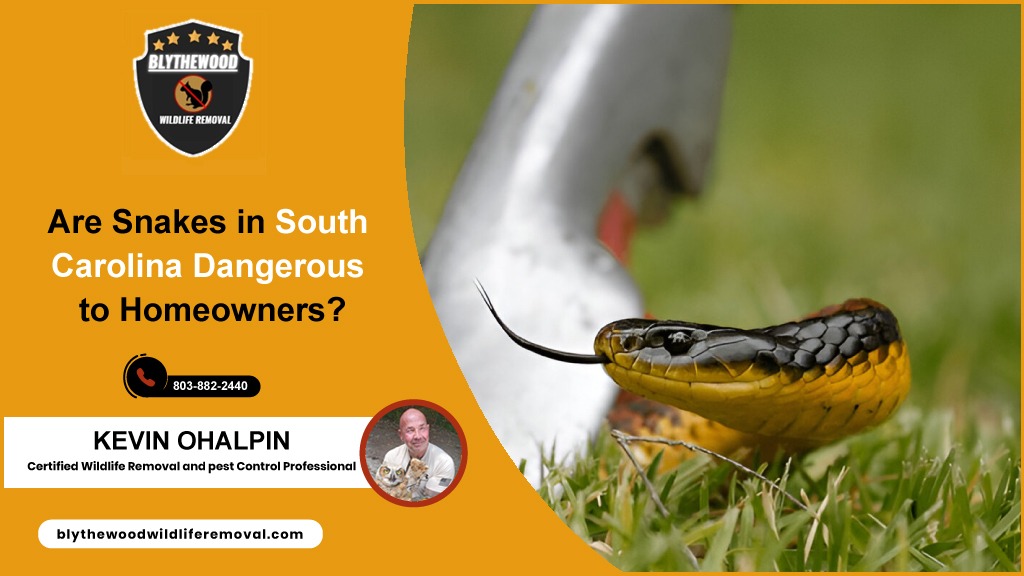 Are Snakes in South Carolina Dangerous to Homeowners?