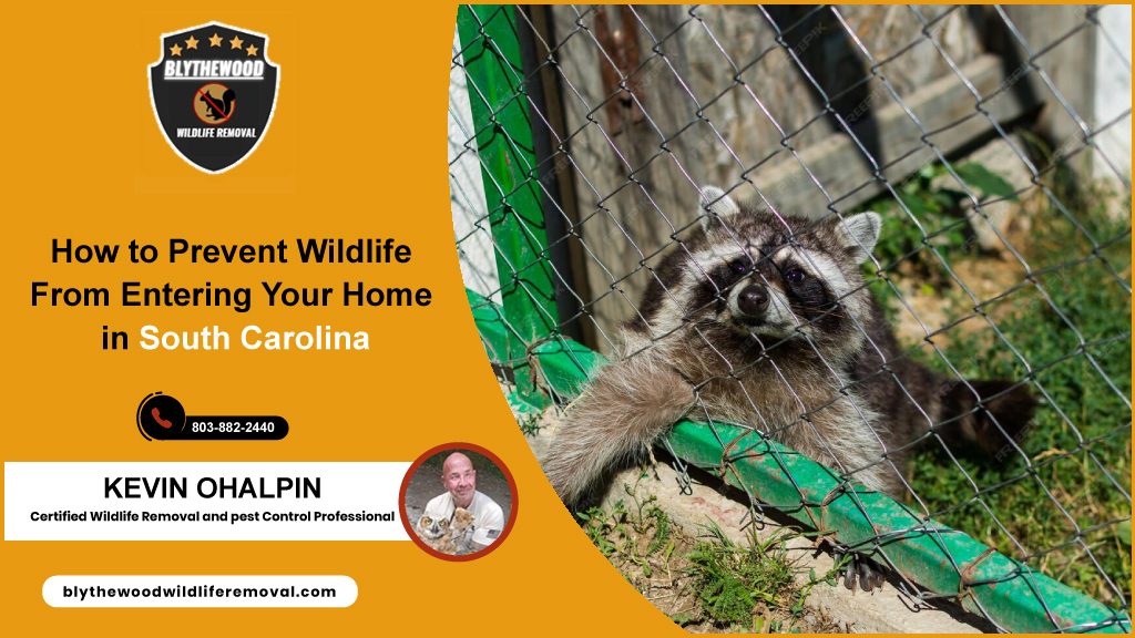 How to Prevent Wildlife From Entering Your