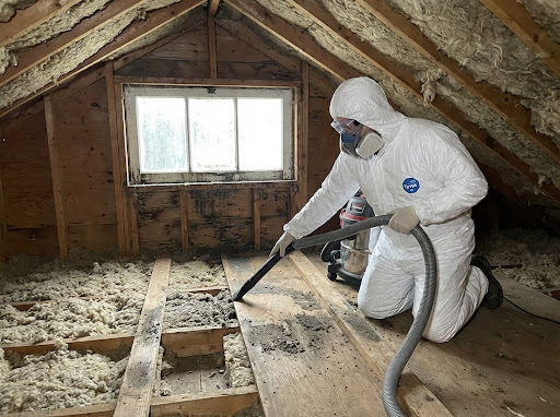 Bat Guano Cleanup & Decontamination Services