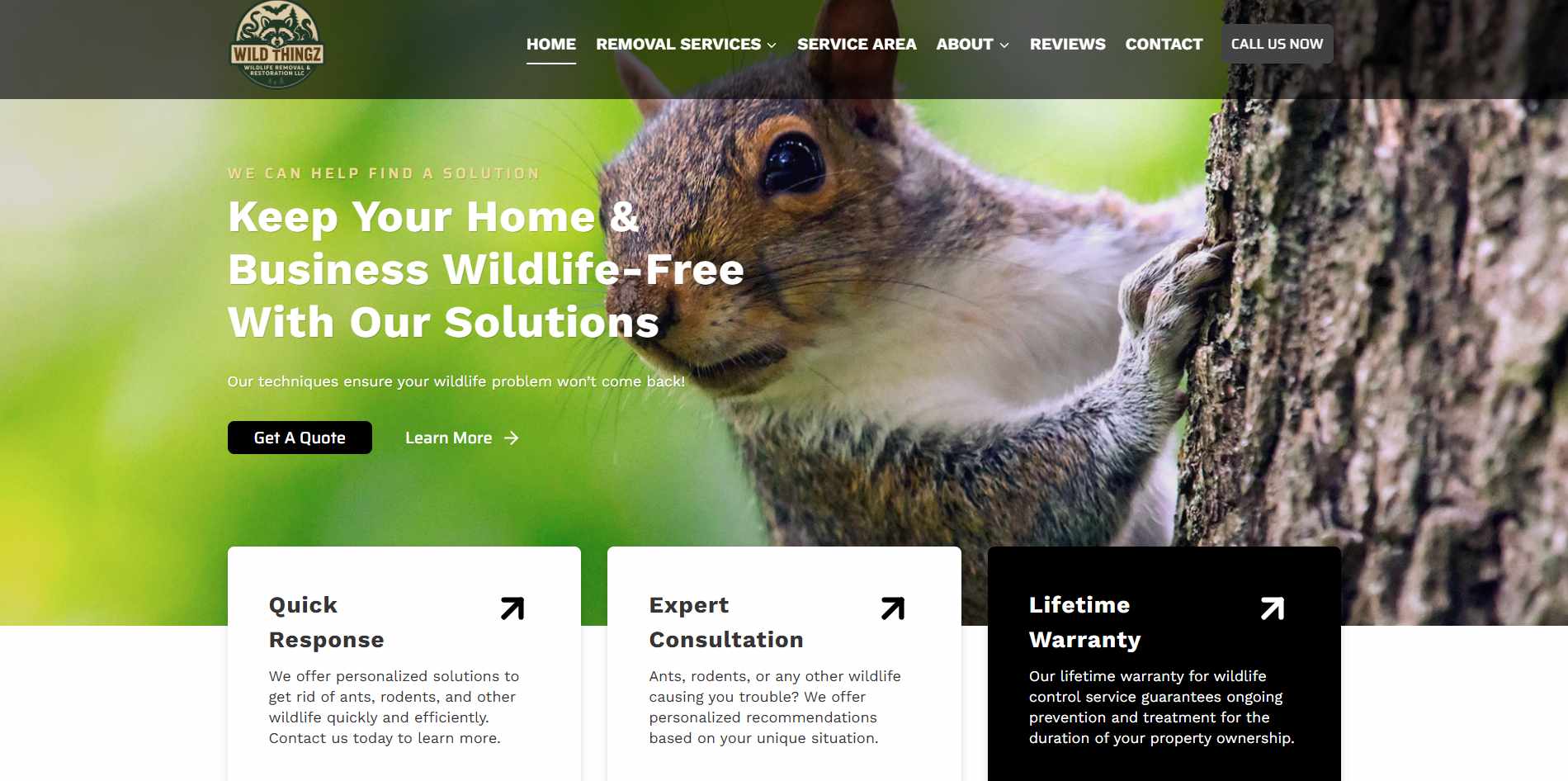 Wild Thingz Wildlife Removal