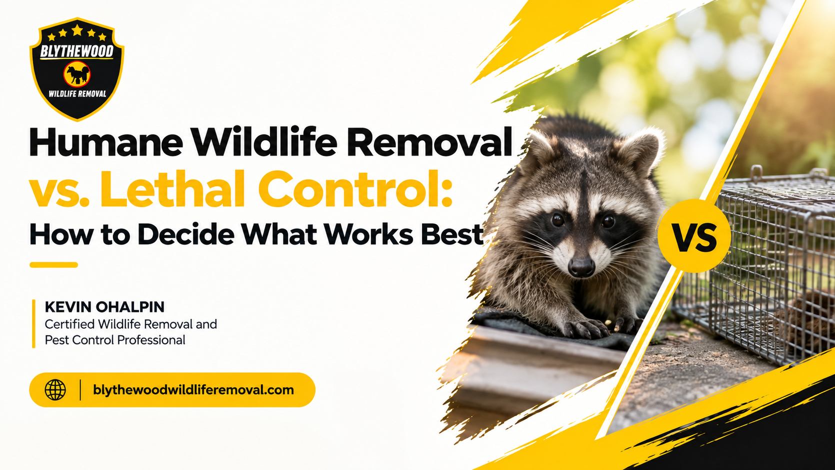 Humane Wildlife Removal vs. Lethal Control: What Actually Works